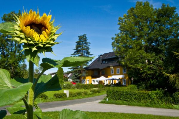 Gasthof Betenmacher (Thalgau)